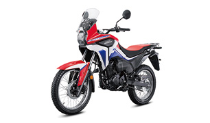 新大洲本田 CRF190L