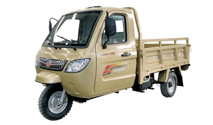 新鸽车辆 C5