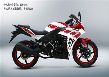 极速“飞”车——品鉴银钢飞YGR250R