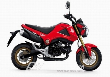 Honda新款MSX125/Grom 配色公布