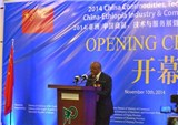 三雅参加（非洲）中国商品、技术与服务展