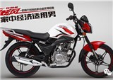 宗申新春预定车型介绍——炫风2015版