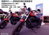 安全骑行 享受快乐 哈雷骑行学院的感受