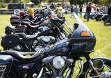 戴纳汇 Sturgis FXR Show 2015