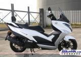 实用之选 QL125 Steezer S香港试驾