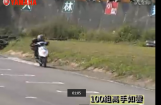 马哈绵羊踏板车比赛