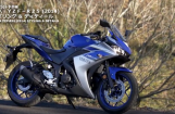 2014款雅马哈YZF-R25