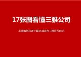 17张图让你看懂三雅公司