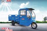 大运电动篷车DY1000QDZ-35品鉴