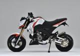 后单摇臂的川崎 Z125 Pro