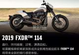 搭载全新动力系统 2019款哈雷新车上市