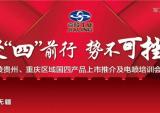 嘉陵贵州、重庆区域国四产品上市推介及电喷培训会
