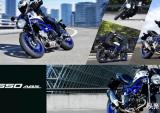 2019款铃木SV650制动器更新