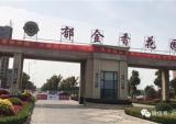金城与你约会大丰郁金香花园