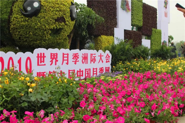 大陽巧客安保隊：這是一支可信賴的“保安隊伍”
