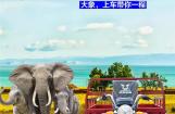 超级载重 江苏宗申T-2三轮重卡升级