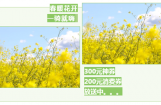 豪爵铃木五一团火热进行中