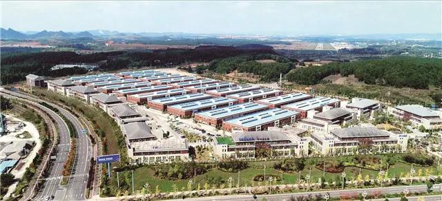 福愛電子燃油噴射系統譜系構建完成