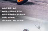 KTM:释放野性，秀出DUKE态度！