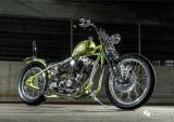 老哈雷的魅力：H-D Evolution chopper