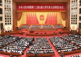 万丰集团陈爱莲代表：推动长三角健康服务业一体化进程