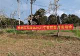 宗申通机：助力农业现代化