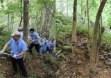 三雅积极开展植树护林活动