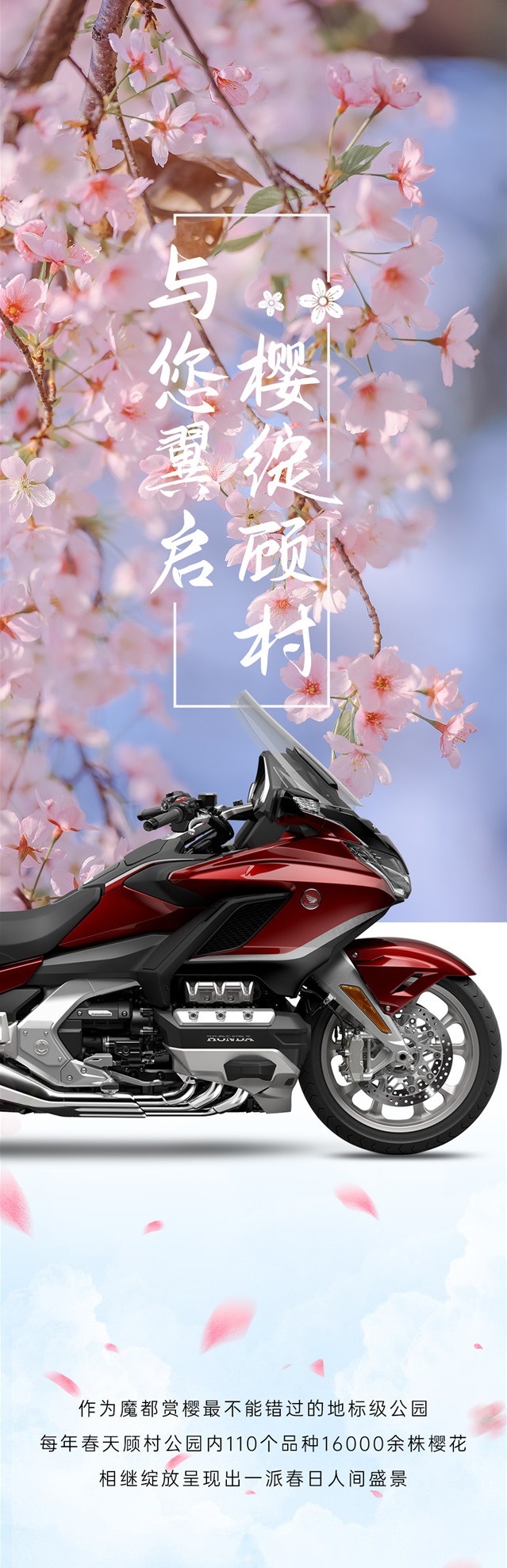 Honda DreamWing上海「與您翼啟 櫻綻顧村」