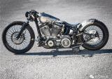 HARLEY-DAVIDSON SOFTAIL