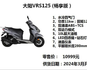 大阳Vi-Core 4.0技术发布暨产品政策说明会