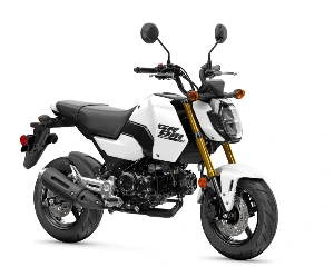 Honda2025美国版GROM、GROM SP迷你车