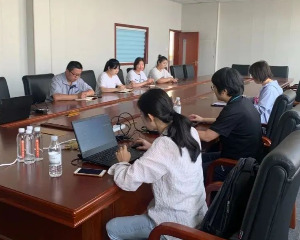 金彭汽车首次欧盟COP审厂圆满结束，引领行业加快全球化发展进程！