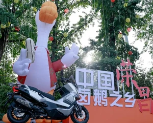 一个仿赛难民到ADV踏板的救赎之旅