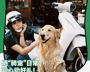 养宠千日，用宠一时！牵上“主子”，夺宗申机车大奖！