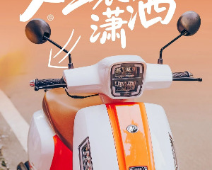 力帆布偶猫 | 置物箱塞得下生活，人生装得下潇洒