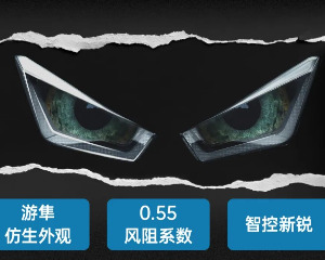 赛科龙：8月28日，见锋芒！